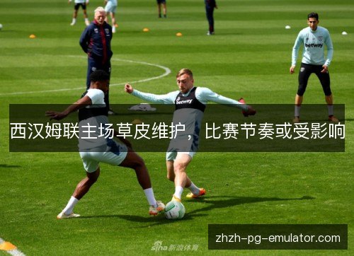 西汉姆联主场草皮维护，比赛节奏或受影响